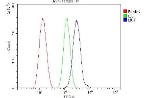 Flow Cytometry analysis of SiHa cells using anti-MUT antibody (ABIN4886676). (MUT 抗体  (N-Term))