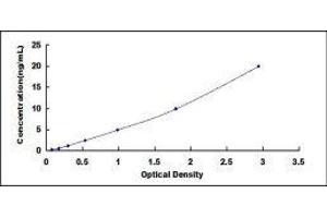 ELISA image for Retinol Binding Protein 4, Plasma (RBP4) ELISA Kit (ABIN416617)