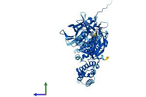 Protein Structure (PS) image for Calicin (CCIN) (AA 1-588) protein (His tag) (ABIN7552865)