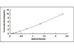 Endonuclease G (ENDOG) ELISA Kit