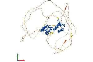 AlphaFold protein structure predicition of Mouse Recombinant Onecut1 Protein, UniprotID O08755 (ONECUT1 Protein (AA 1-465) (His tag))