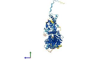 AlphaFold protein structure predicition of Mouse Recombinant Elmo2 Protein, UniprotID Q8BHL5