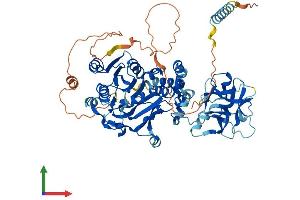 Protein Structure (PS) image for UDP-N-Acetyl-alpha-D-Galactosamine:polypeptide N-Acetylgalactosaminyltransferase 14 (GalNAc-T14) (GALNT14) (AA 1-638) protein (His tag) (ABIN7564976)