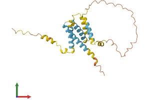 Protein Structure (PS) image for CKLF-Like MARVEL Transmembrane Domain Containing 5 (CMTM5) (AA 1-223) protein (His tag) (ABIN7546586)