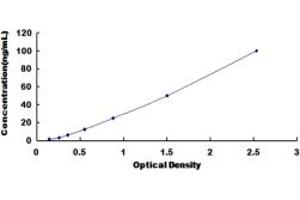 Myelin Basic Protein Autoantibody (Anti-MBP) ELISA Kit