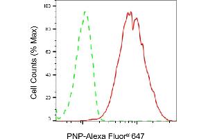 Flow cytometric analysis of PNP expression in HepG2 cells using PNP antibody (ABIN7800066), 1:2,000). (PNP 抗体)