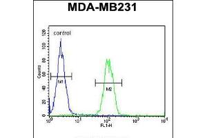 Flow cytometric analysis of MDA-MB231 cells (right histogram) compared to a negative control cell (left histogram). (PHD1 抗体  (AA 194-221))