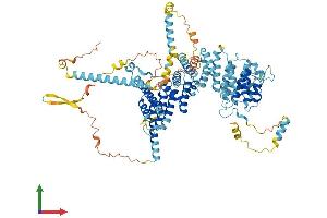 Protein Structure (PS) image for Nucleolar Complex Associated 3 Homolog (NOC3L) (AA 1-800) protein (His tag) (ABIN7549796)
