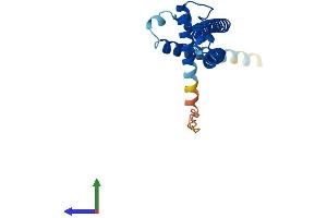Protein Structure (PS) image for DiGeorge Syndrome Critical Region Gene 6-Like (DGCR6L) (AA 1-220) protein (His tag) (ABIN7547023)