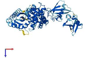 AlphaFold protein structure predicition of Mouse Recombinant Oasl2 Protein, UniprotID Q9Z2F2