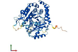 Protein Structure (PS) image for Tubulin, alpha 1c (TUBA1C) (AA 1-449) protein (His tag) (ABIN7544233)