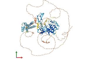 Protein Structure (PS) image for Kinase Suppressor of Ras 1 (KSR1) (AA 1-873) protein (His tag) (ABIN7563898)