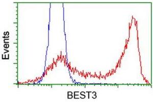 Flow Cytometry (FACS) image for anti-Bestrophin 3 (BEST3) antibody (ABIN1501730) (Bestrophin 3 抗体)