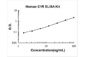 Complement Component 1, R Subcomponent (C1R) ELISA Kit