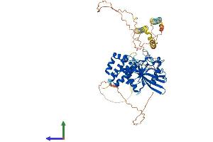 Protein Structure (PS) image for Protein tyrosine Phosphatase, Non-Receptor Type 5 (Striatum-Enriched) (PTPN5) (AA 1-565) protein (His tag) (ABIN7551090)