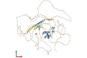 Protein Structure (PS) image for Polyhomeotic Homolog 2 (Drosophila) (PhC2) (AA 1-858) protein (His tag) (ABIN7554974)