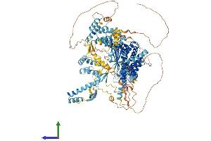 Protein Structure (PS) image for SIN3 Transcription Regulator Homolog B (SIN3B) (AA 1-1162) protein (His tag) (ABIN7555483)