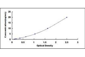 Image no. 1 for beta-2-Microglobulin (B2M) ELISA Kit (ABIN1874252)