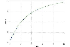 A typical standard curve (MAGEC1 ELISA 试剂盒)