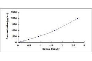 ELISA image for Plasminogen Activator Inhibitor 1 (SERPINE1) ELISA Kit (ABIN415629)