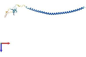 Stathmin-Like 4 (STMN4) (AA 1-189) protein (His tag)