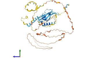 AlphaFold protein structure predicition of Mouse Recombinant Sf3a2 Protein, UniprotID Q62203