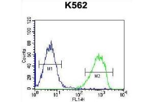 Flow Cytometry (FACS) image for anti-Serine Peptidase Inhibitor, Kazal Type 8 (SPINK8) antibody (ABIN2996842) (SPINK8 抗体)