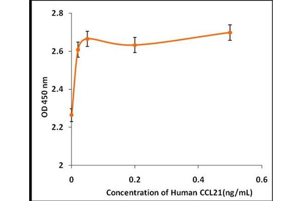 CCL21 蛋白