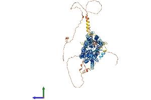 Protein Structure (PS) image for Solute Carrier Organic Anion Transporter Family, Member 5A1 (SLCO5A1) (AA 1-848) protein (His tag) (ABIN7555530)