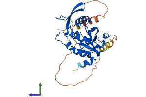 Protein Structure (PS) image for CTD (Carboxy-terminal Domain, RNA Polymerase II, Polypeptide A) Small Phosphatase 2 (CTDSP2) (AA 1-271) protein (His tag) (ABIN7546885)