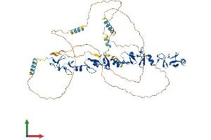 Protein Structure (PS) image for Paxillin (PXN) (AA 1-591) protein (His tag) (ABIN7550498)