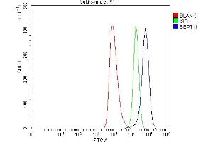 Flow Cytometry analysis of HEL cells using anti-Septin 11/SEPTIN11 antibody (ABIN7602925). (Septin 11 抗体  (C-Term))