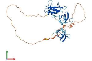 AlphaFold protein structure predicition of Human Recombinant GRAP2 Protein, UniprotID O75791