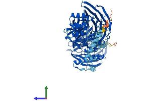 Protein Structure (PS) image for Intraflagellar Transport 80 Homolog (IFT80) (AA 1-777) protein (His tag) (ABIN7548526)