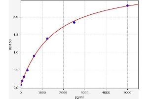 Typical standard curve (FAM151A ELISA 试剂盒)