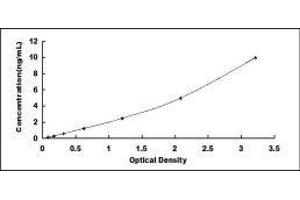 Pyruvate Dehydrogenase Kinase, Isozyme 2 (PDK2) ELISA Kit