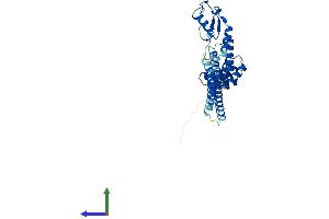 Protein Structure (PS) image for STIP1 Homology and U-Box Containing Protein 1 (STUB1) (AA 1-303) protein (His tag) (ABIN7553478)