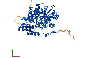 Protein Structure (PS) image for Serine Racemase (SRR) (AA 1-340) protein (His tag) (ABIN7546357)
