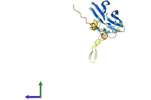 Protein Structure (PS) image for Heat Shock 27kDa Protein 2 (HSPB2) (AA 1-182) protein (His tag) (ABIN7548450)