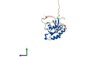AlphaFold protein structure predicition of Human Recombinant RAB6C Protein, UniprotID Q9H0N0