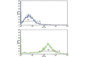 Flow Cytometry (FACS) image for anti-Interleukin 1, beta (IL1B) (AA 148-174) antibody (ABIN3031434)