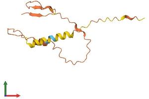 AlphaFold protein structure predicition of Human Recombinant DSCR4 Protein, UniprotID P56555