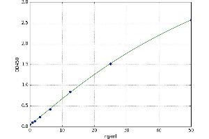 2'-5' Oligoadenylate Synthetase 3 (OAS3) ELISA Kit