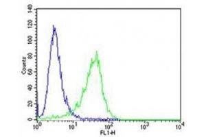 Flow cytometric analysis of A549 cells using ROR1 antibody (green) compared to an isotype control of rabbit IgG (blue).