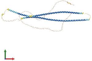 Protein Structure (PS) image for Keratin 71 (KRT71) (AA 1-523) protein (His tag) (ABIN7548680)
