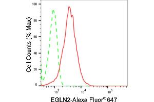 Flow cytometric analysis of EGLN2 expression in HepG2 cells using EGLN2 antibody (ABIN7798426), 1:2,000). (Recombinant PHD1 抗体)