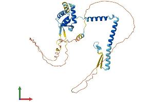 Protein Structure (PS) image for Translocation Protein 1 (TLOC1) (AA 1-399) protein (His tag) (ABIN7546011)