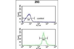 Flow Cytometry (FACS) image for anti-ATPase, class VI, type 11C (ATP11C) (AA 589-616) antibody (ABIN651638)