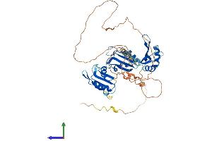 Protein Structure (PS) image for CUGBP, Elav-Like Family Member 5 (CELF5) (AA 1-485) protein (His tag) (ABIN7553121)