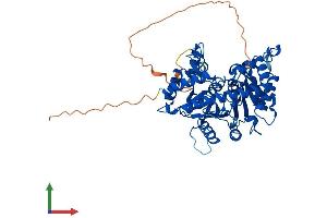 AlphaFold protein structure predicition of Human Recombinant ACCS Protein, UniprotID Q96QU6